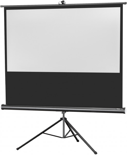 celexon Economy 219 x 123 cm ekran projekcyjny na trójnogu
