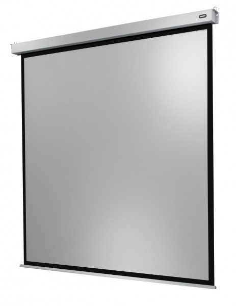 celexon Professional PLUS 280 x 280 cm elektryczny ekran projekcyjny 1:1 (155")