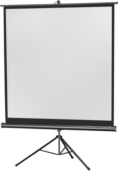 celexon Economy 244 x 244 cm ekran projekcyjny na trójnogu